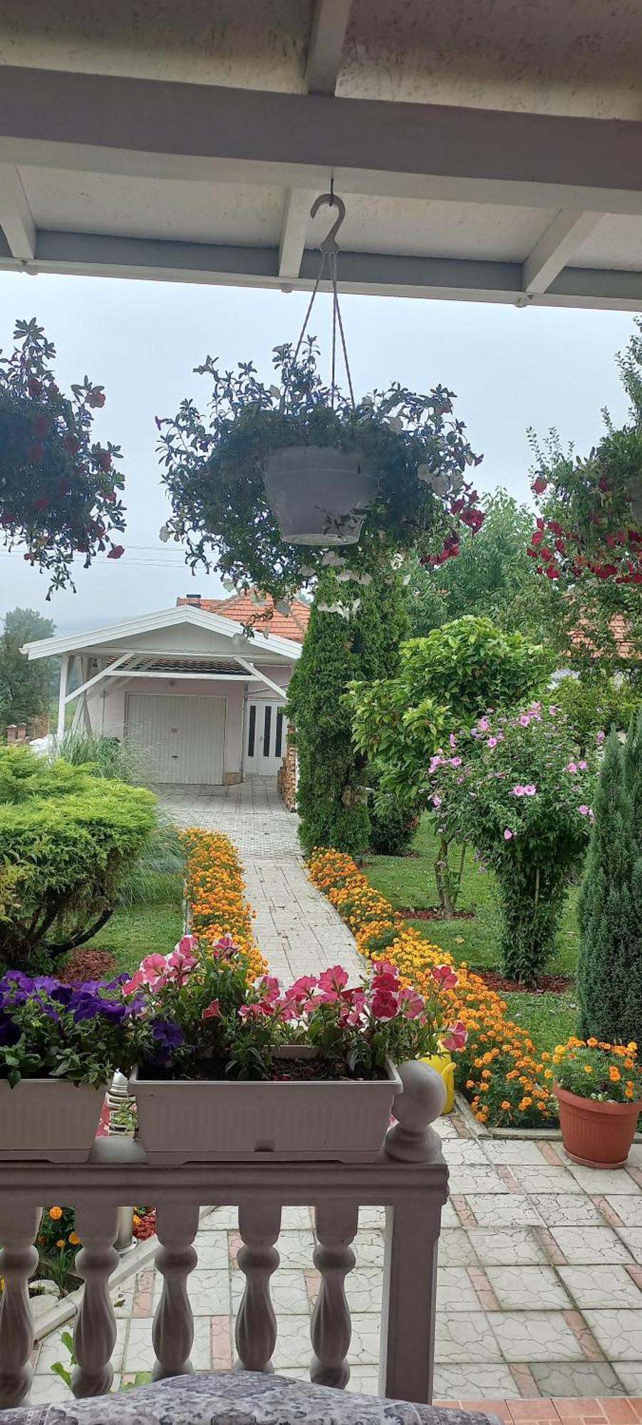ויסוקו Holiday Home Peaceful Retreat מראה חיצוני תמונה