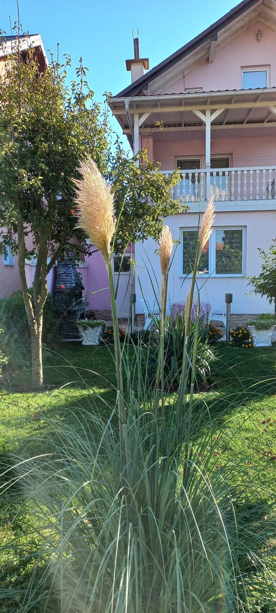 ויסוקו Holiday Home Peaceful Retreat מראה חיצוני תמונה