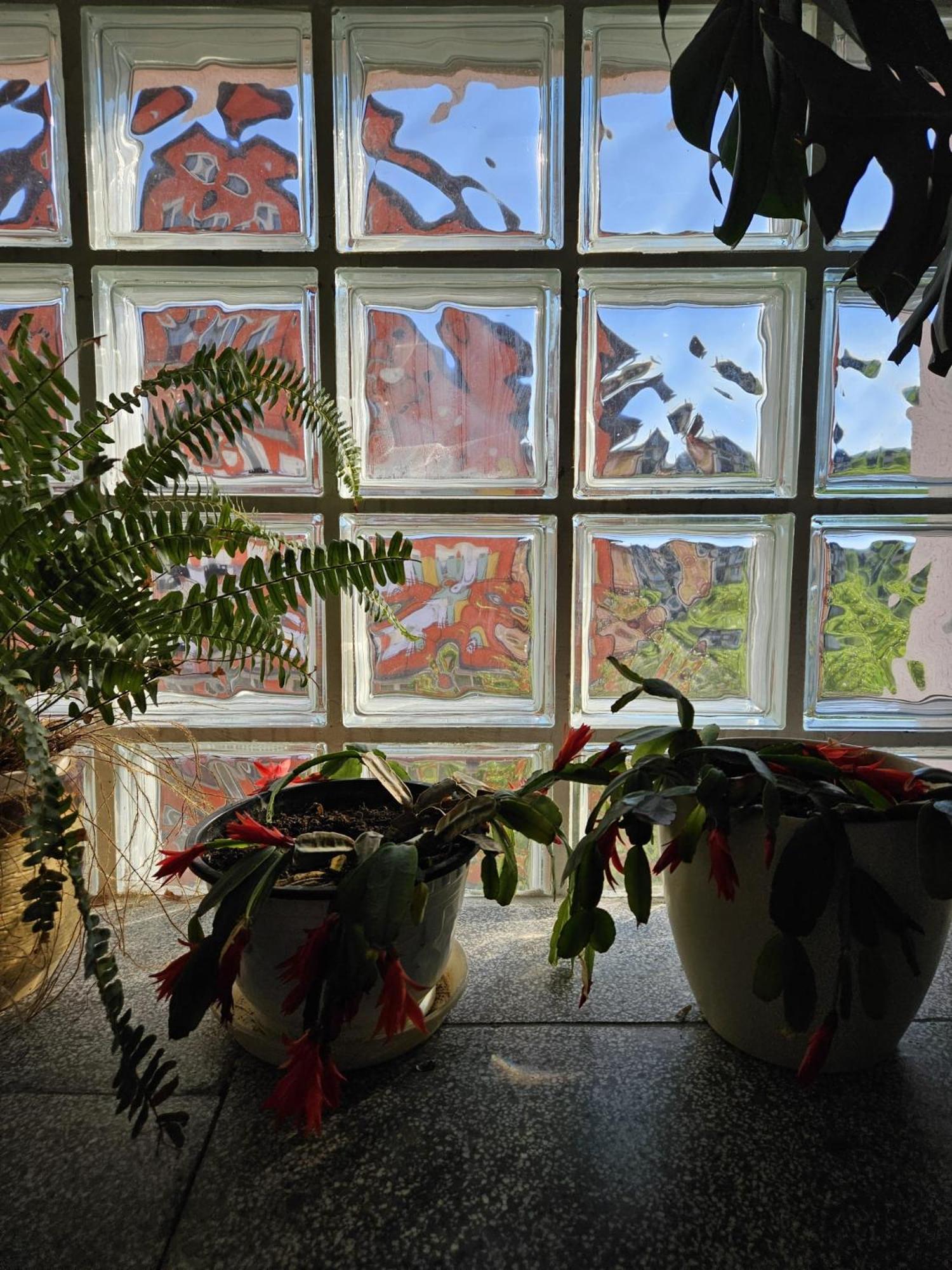 ויסוקו Holiday Home Peaceful Retreat מראה חיצוני תמונה